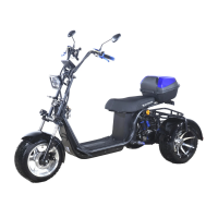 Электроскутер CityCoco Skyboard MyRussia (Маруся) BR60 3000W Trike