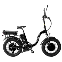Электровелосипед Elbike Taiga 1 Twix 2000 (2x1000w 2х48v16a)