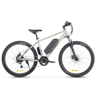 Электровелосипед Eltreco Gelbert Ran 1 ST Серый